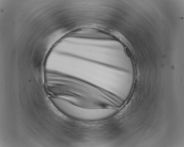 X0000076271036200610262025