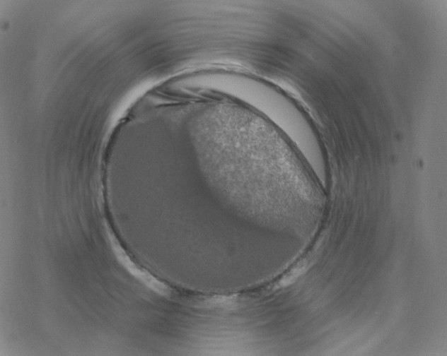 X0000076271038200610262025