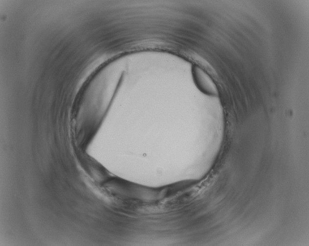 X0000076271039200610262025