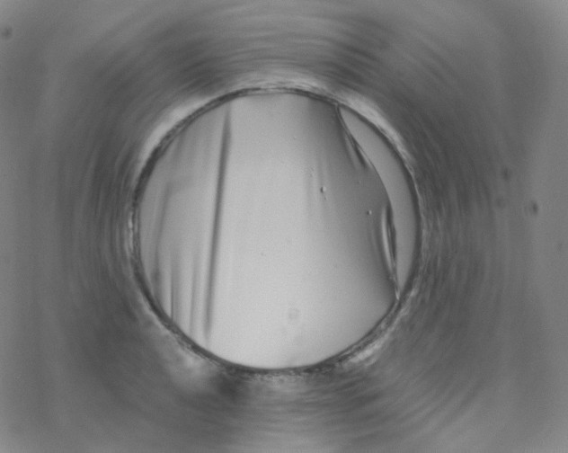 X0000076271040200610262025