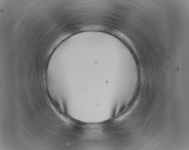 X0000076271041200610262025