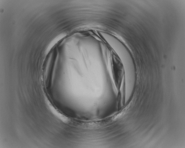 X0000076271042200610262025