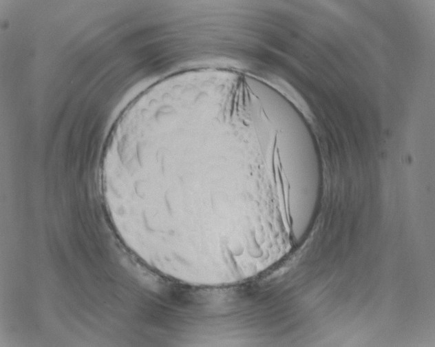 X0000076271044200610262025