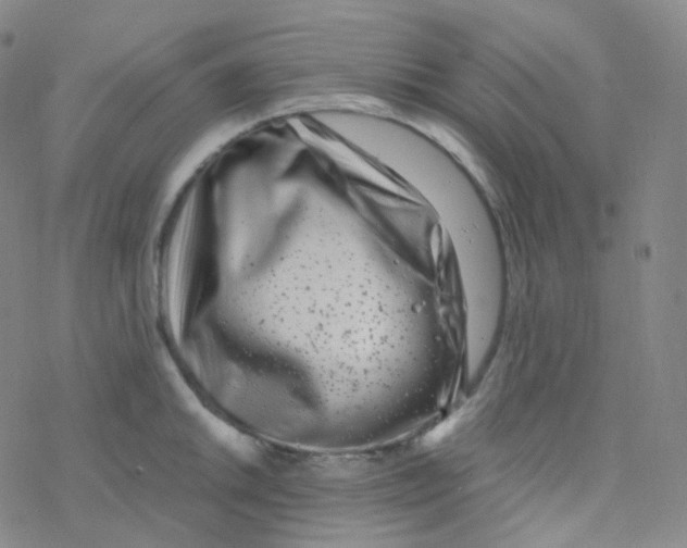 X0000076271046200610262025