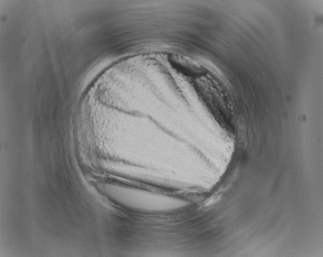 X0000076271047200610262025