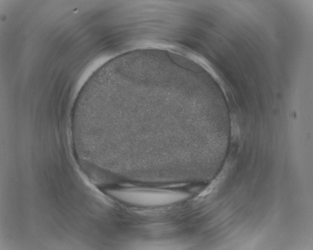 X0000076271048200610262025