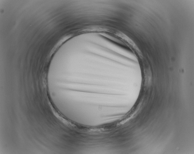 X0000076271049200610262025