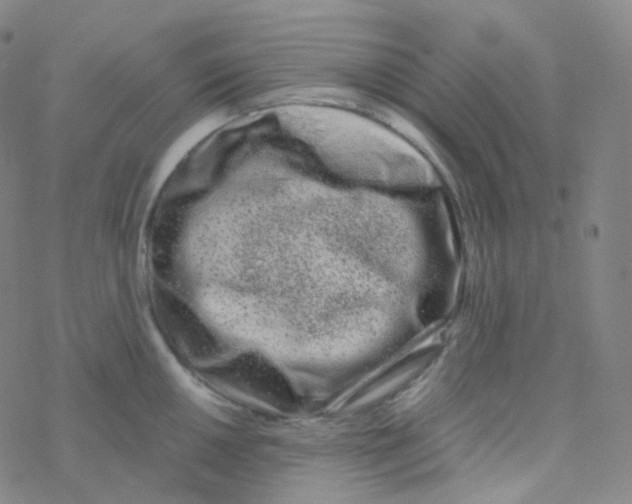 X0000076271050200610262025