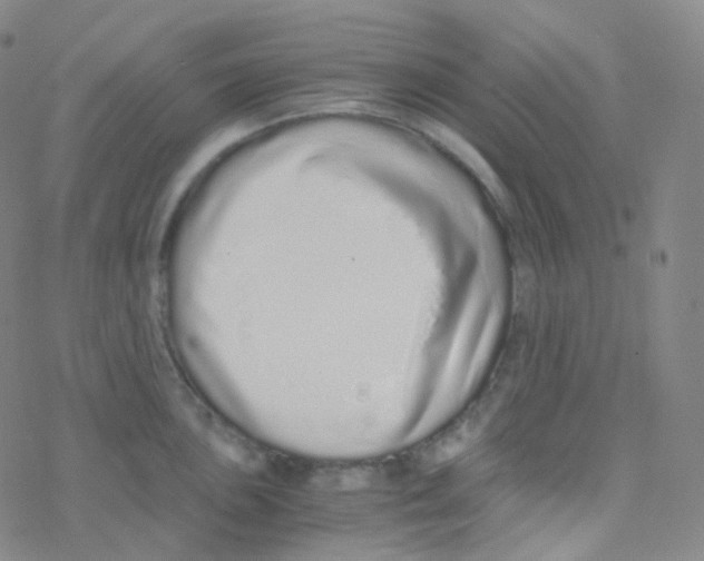 X0000076271051200610262025