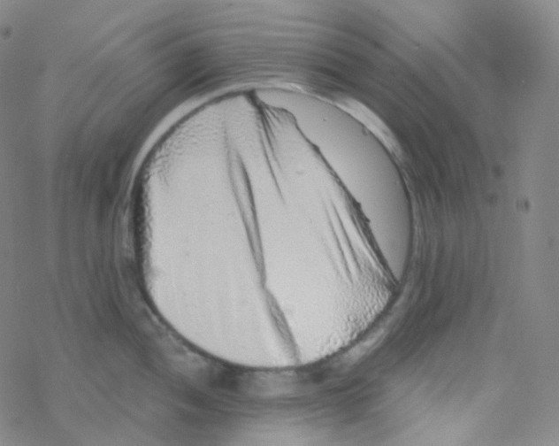 X0000076271052200610262025