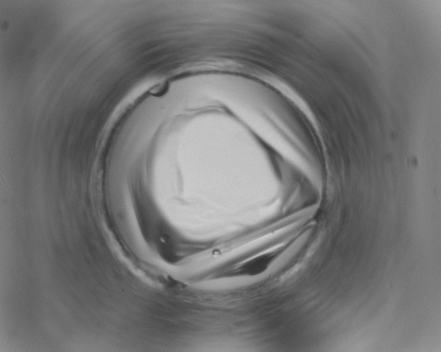 X0000076271053200610262025