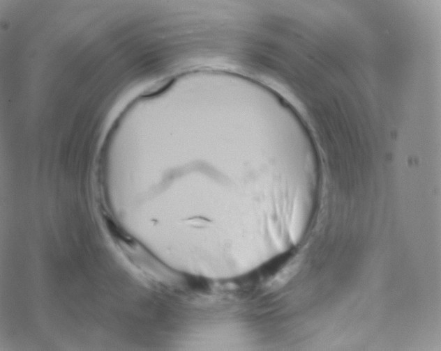 X0000076271056200610262025