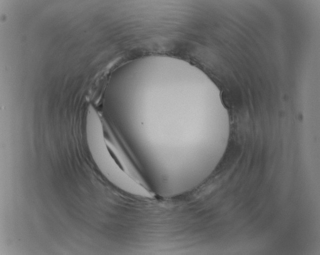 X0000076271058200610262025