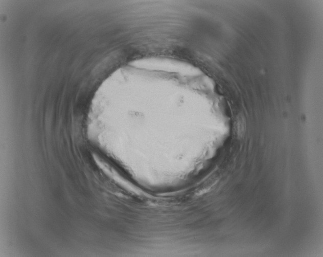 X0000076271059200610262025