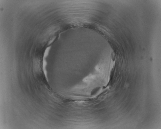 X0000076271060200610262025