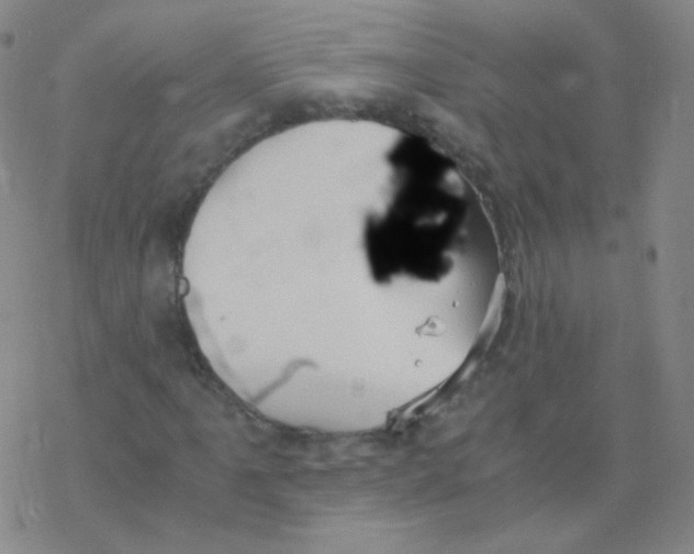 X0000076271061200610262025