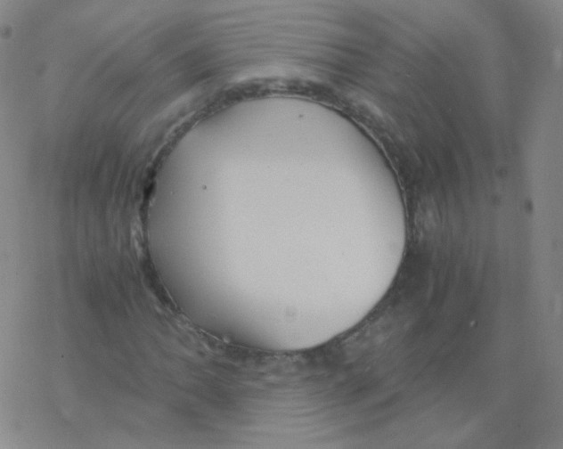 X0000076271062200610262025