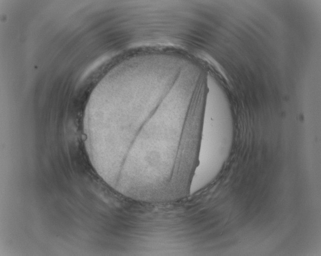 X0000076271064200610262025