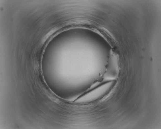 X0000076271065200610262025