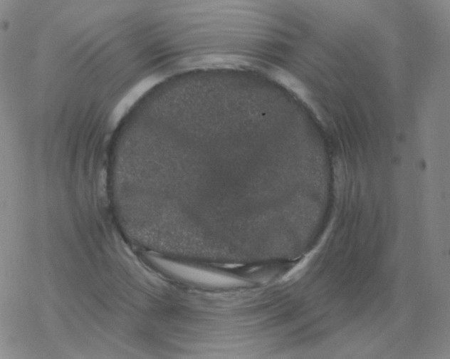 X0000076271066200610262025