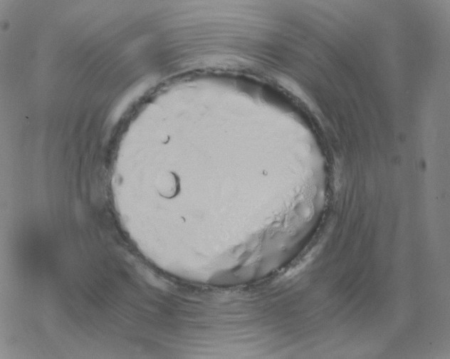 X0000076271067200610262024