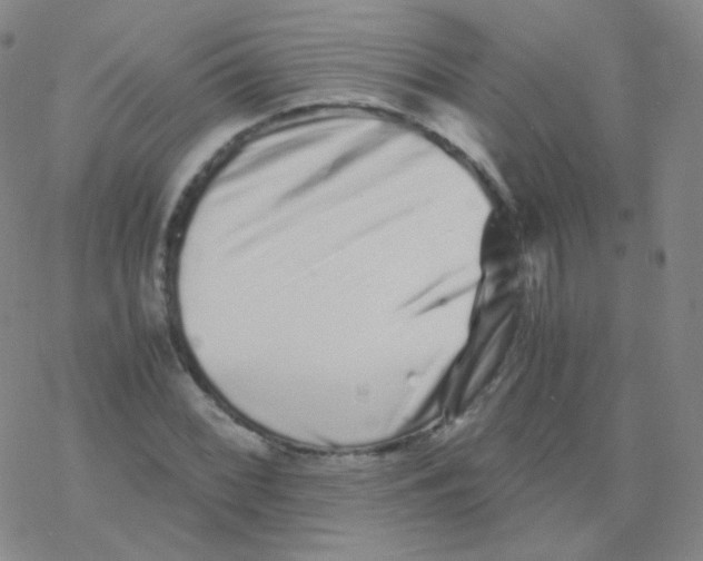 X0000076271068200610262024