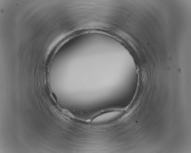 X0000076271069200610262024