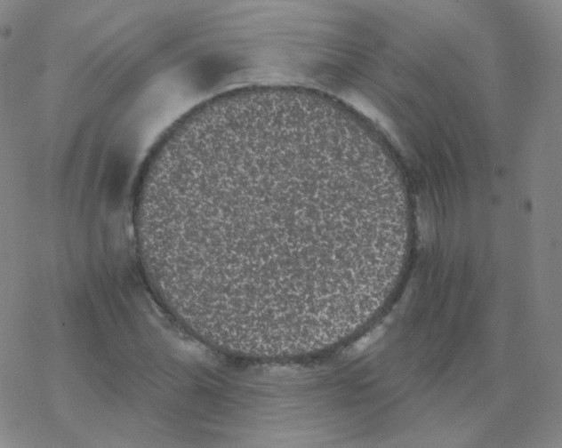 X0000076271070200610262024