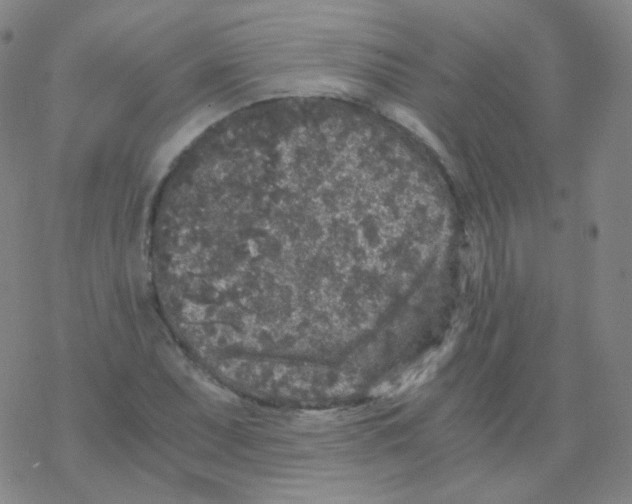 X0000076271071200610262024