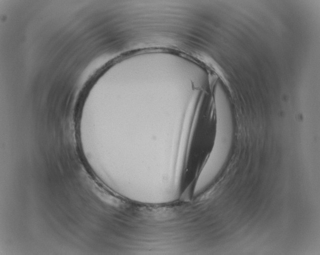 X0000076271072200610262024