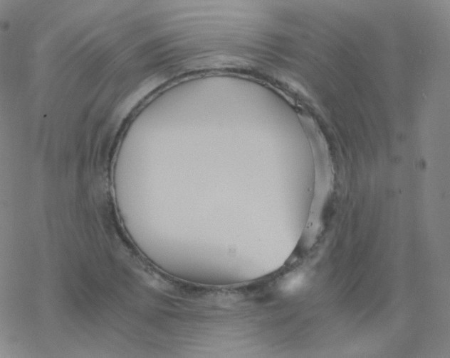 X0000076271073200610262024