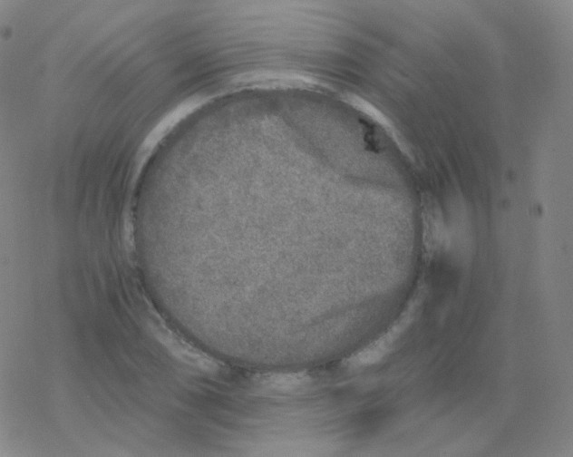 X0000076271074200610262024