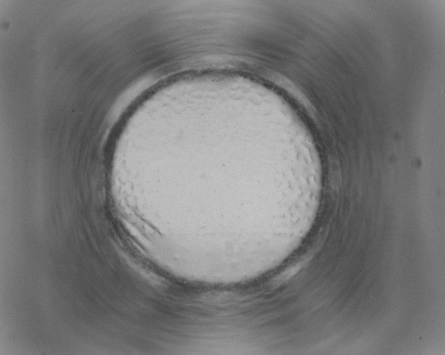 X0000076271075200610262024