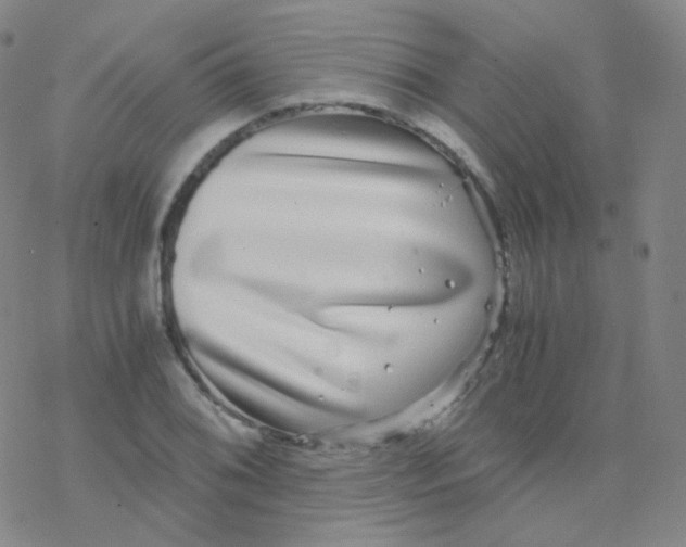 X0000076271076200610262024