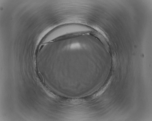 X0000076271077200610262024