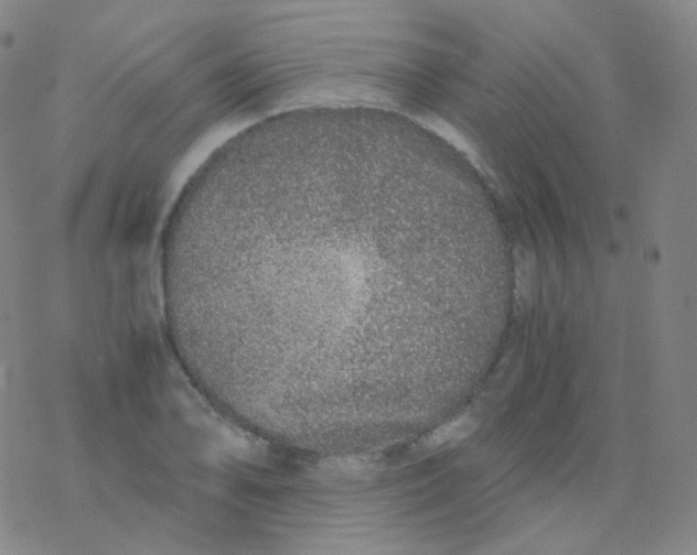 X0000076271078200610262024