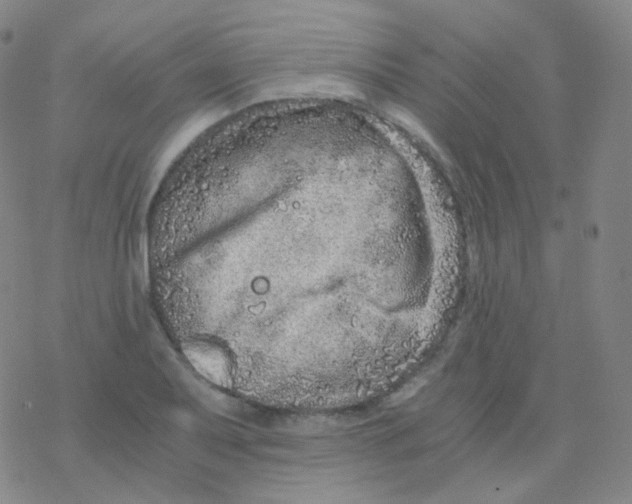 X0000076271079200610262024