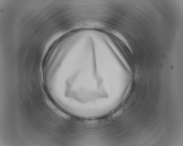 X0000076271080200610262024