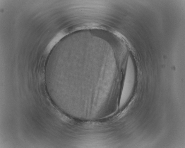 X0000076271081200610262024