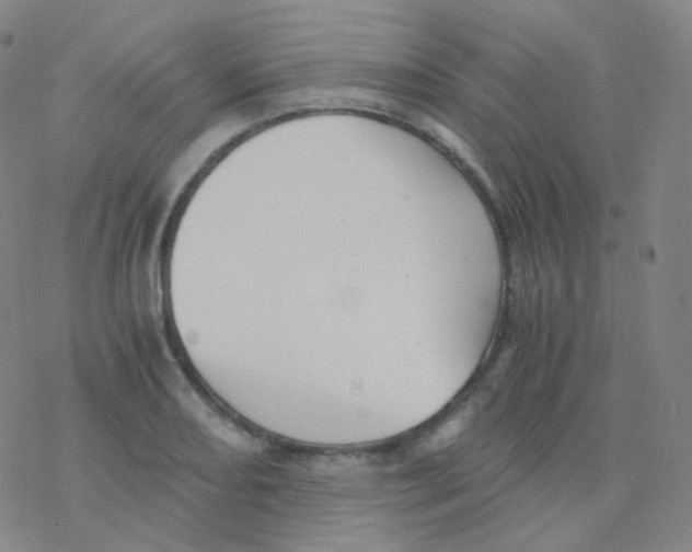 X0000076271082200610262024