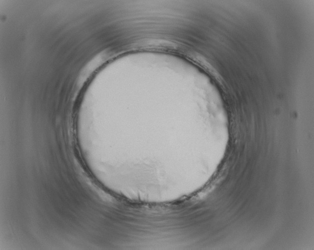 X0000076271083200610262024