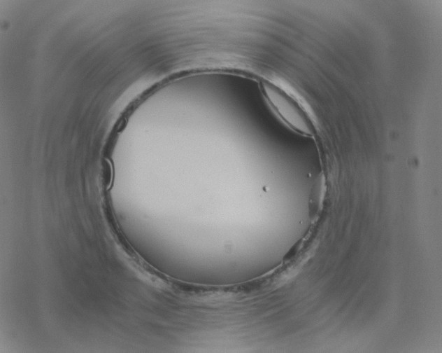 X0000076271085200610262024