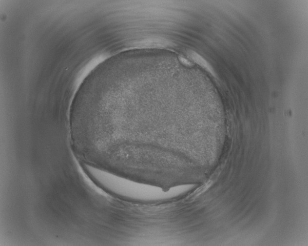 X0000076271087200610262024