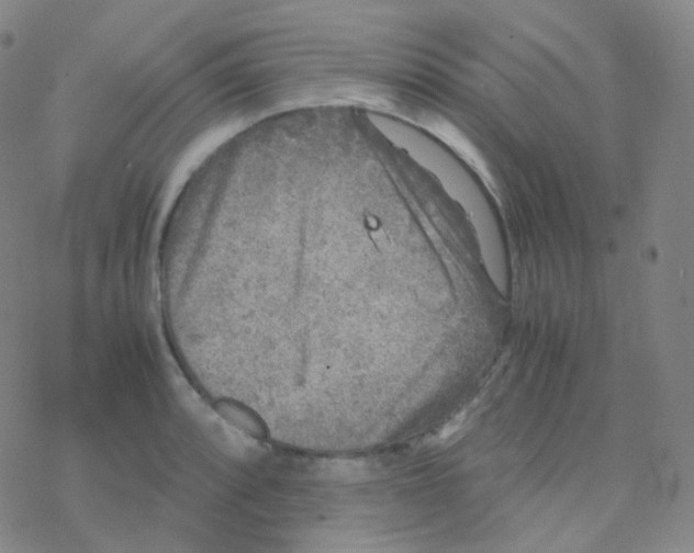 X0000076271088200610262024