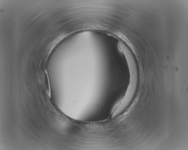 X0000076271089200610262024