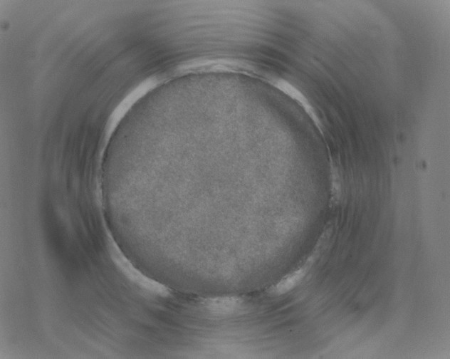 X0000076271090200610262024