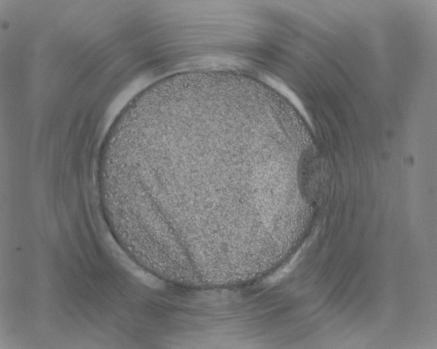 X0000076271091200610262024