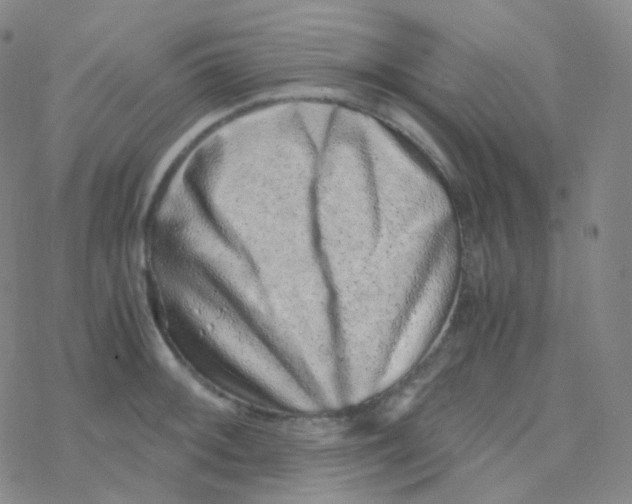 X0000076271092200610262024