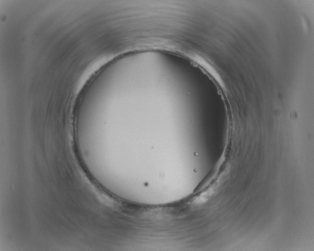 X0000076271093200610262024