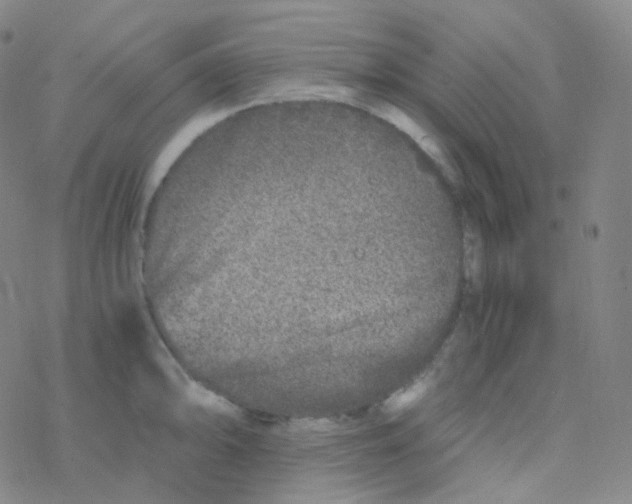 X0000076271094200610262024